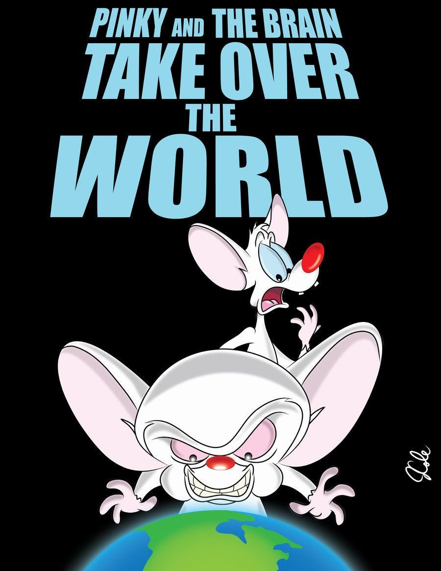 Pinky and The Brain | Old cartoons, Vintage cartoon, Pinky