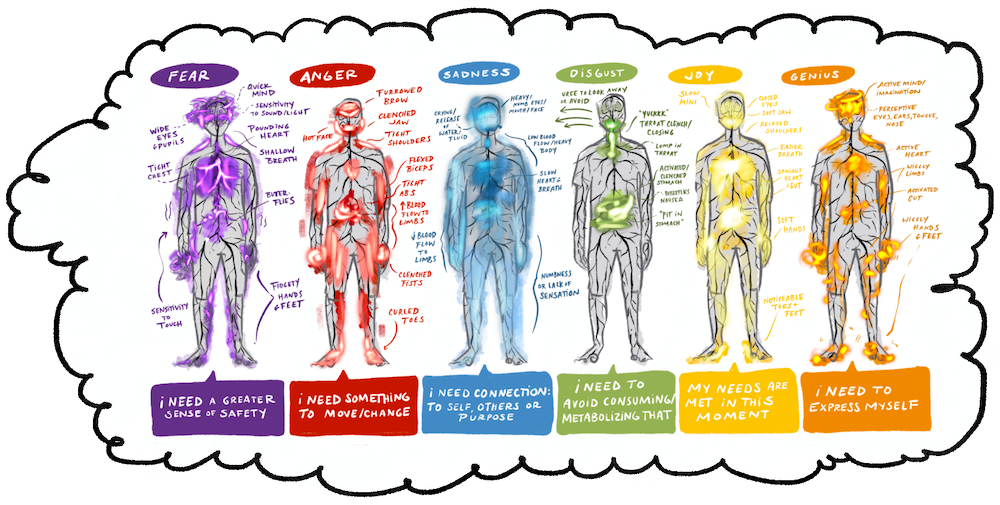Five illustrated body diagrams showing where each core emotion lives in Abby’s body.