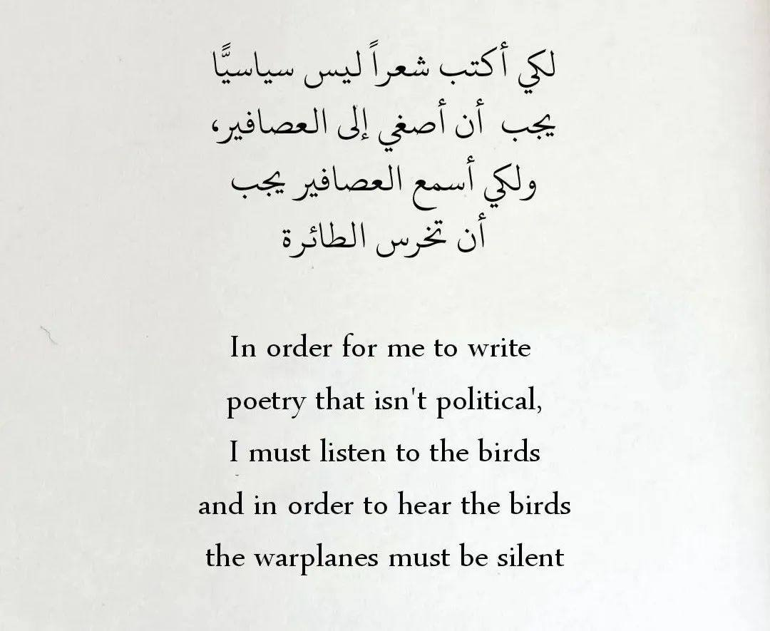 Poem: In order for me to write poetry that isn't political, I must listen to the birds and in order to hear the birds, the warplanes must be silent.