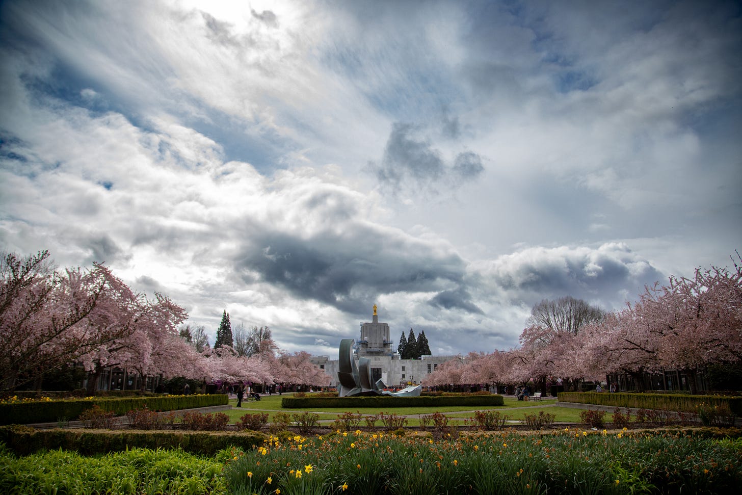   Oregon State Capitol Grounds in March full of blooms and a vivid sky