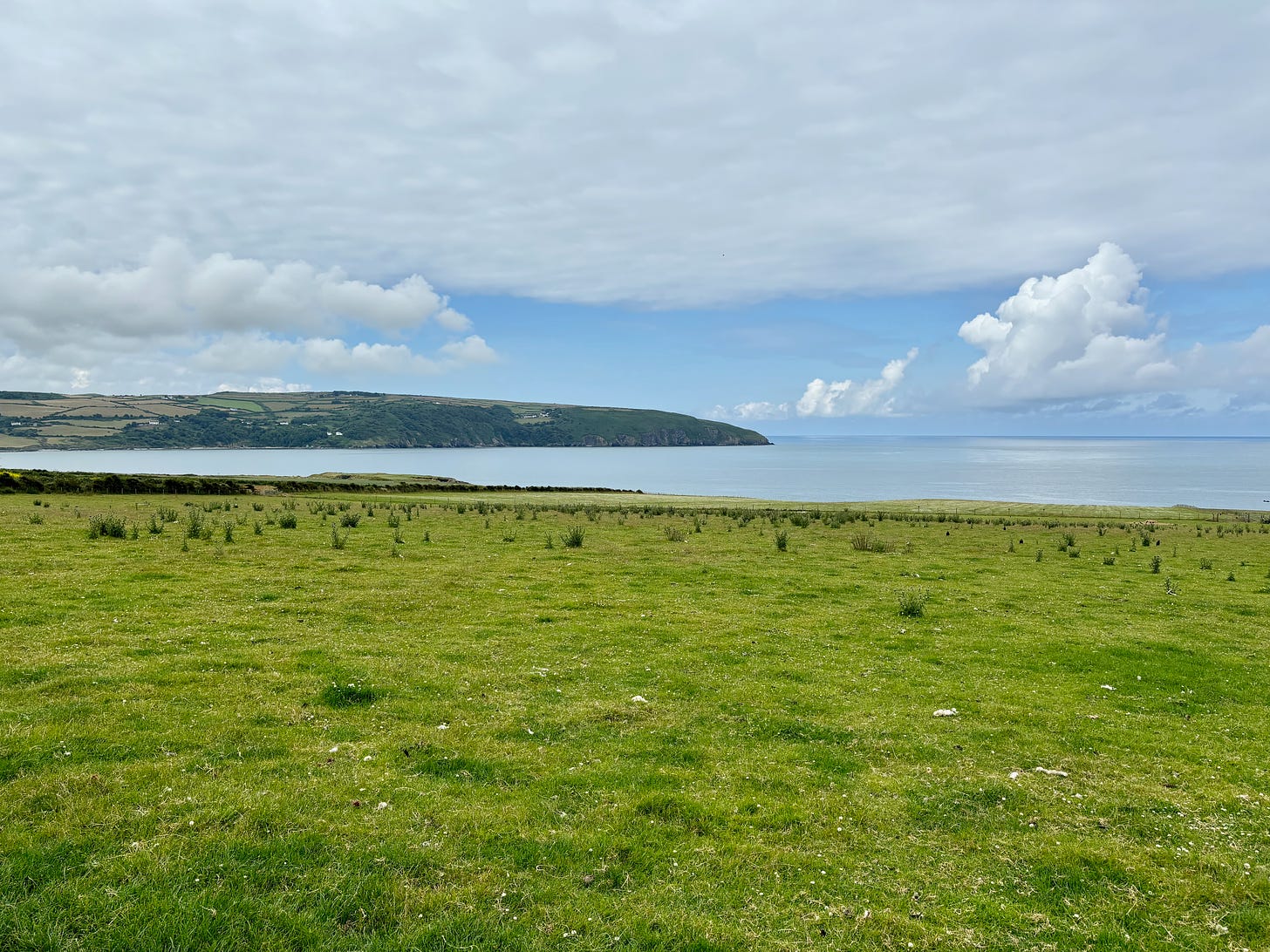 A sea view from a field on the coast, on a summer's day with a blue sky with white clouds.