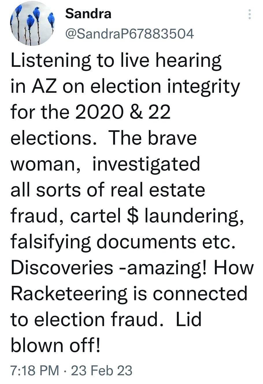 May be an image of ‎text that says '‎7:24 MMMO UR: النه 45% Tweet t7 You Retweeted Sandra @SandraP67883504 Listening to live hearing in AZ on election integrity for the 2020 & 22 elections. The brave woman, investigated all sorts of real estate fraud, cartel $ laundering, falsifying documents etc. Discoveries -amazing! How Racketeering is connected to election fraud. Lid blown off! 7:18 PM 23 Feb 23 3 Views 1 Retweet Tweet your reply‎'‎