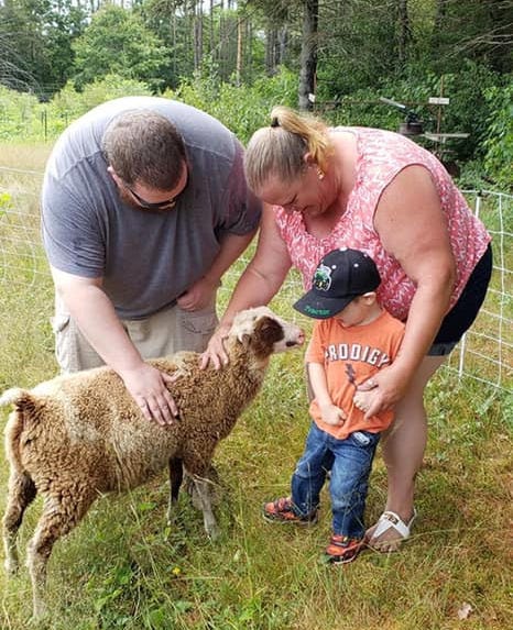 visitors to sheep at Runamuk