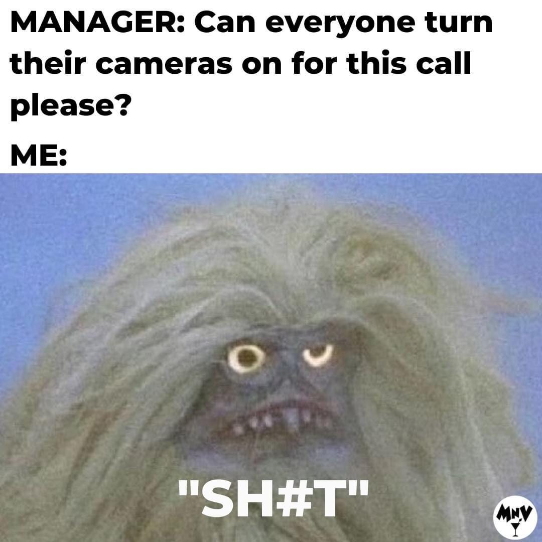 Alternate:  Caption: Manager: Can everyone turn on their cameras for this call please?  Me: Some sort of ugly muppet character with yellow eyes and long, tangled hair.  “SH#T”