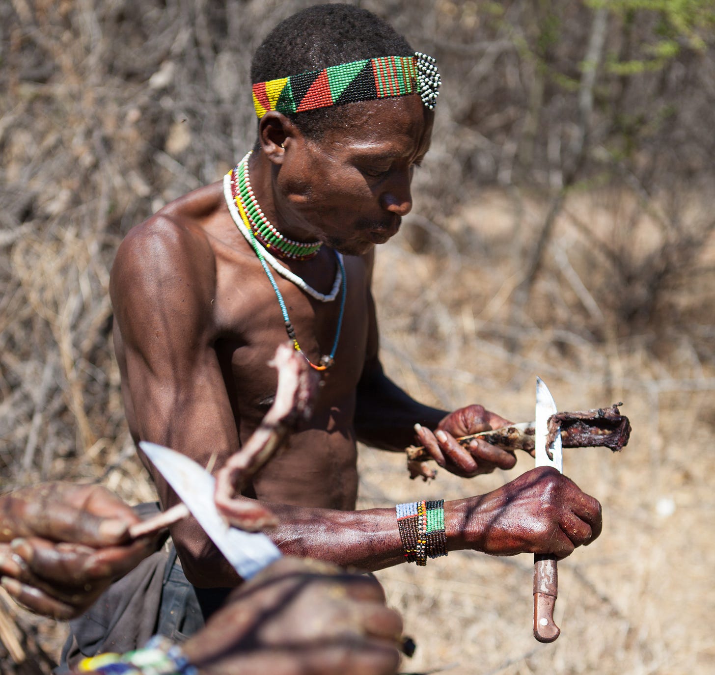 What the Hunter-Gatherers from 'In Defense of Food' Can Teach Us About Our  Diets | Civil Eats