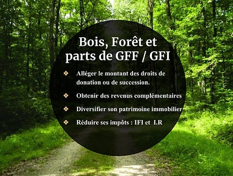 Bois, Forêt, GFF/GFI | Cidif Capital