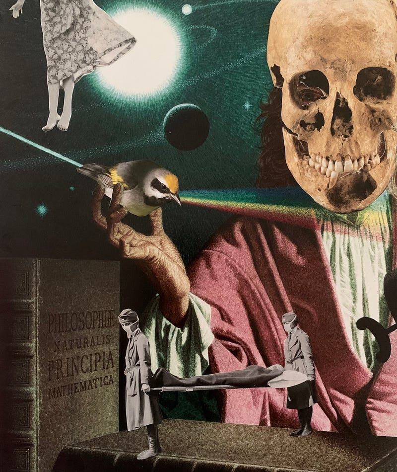 Photo of an original paper collage by the author depicts Isaac Newton with a skull for a head showing one eye peeking through. He holds up a bird which refracts a rainbow of light. In the upper left hand corner, falling into the picture from above is the bottom half a woman in dress, with planets in the background. A black and white image of two people carrying a stretcher with a body draped in blanket are walking across a text book that lies in the foreground.