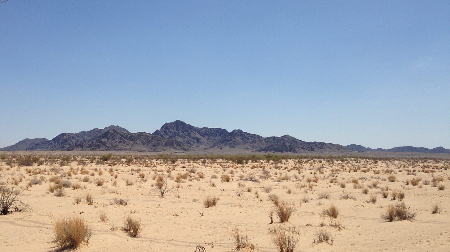 A desolate looking sandy plain with tiny scattered shrubs, and a dark and intriguing mountain range in the background.