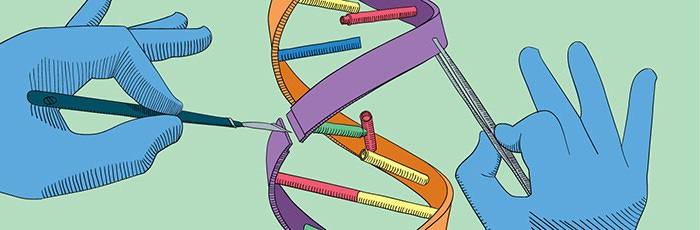 Casgevy – the first CRISPR therapy - Genomics Education Programme