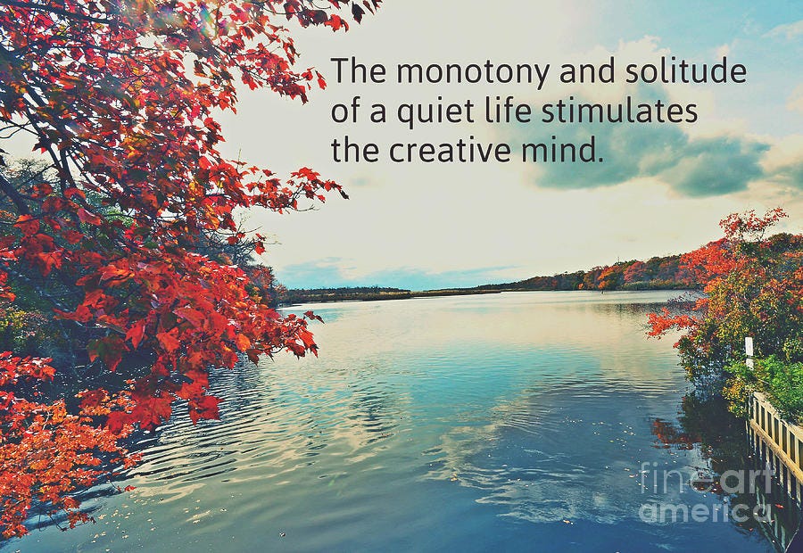 The Monotony and Solitude of a Quiet Life Inspirational message Art Image  Photograph by Stacie Siemsen - Fine Art America