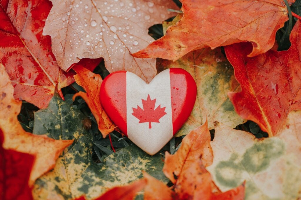 Colorful autumn fall maple tree leaves lying on ground with Canadian flag heart. Thanksgiving Canada