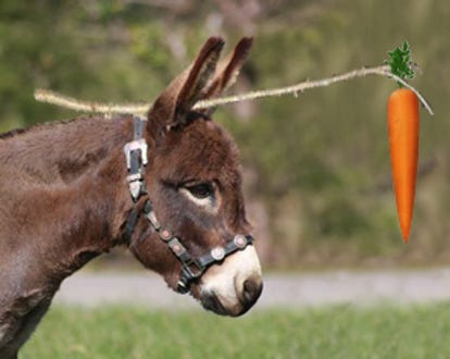 The Story Behind the Carrot and the Stick