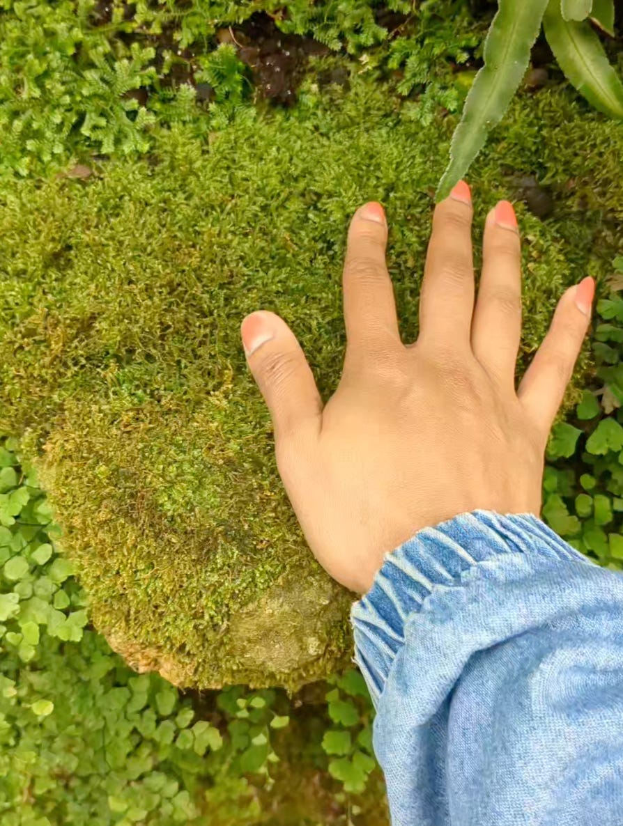 A photo of Nathalie's brown hand rubbing against green moss. She has orange nail polish on and her denim jacket sleeve is shown