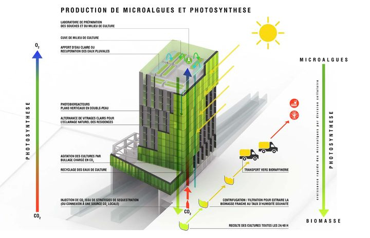 Les lauréats de Réinventer Paris (15/22): In Vivo (XIIIe arr.)