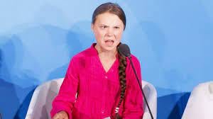 How dare you?': Greta Thunberg rips into world leaders over climate  inaction | SBS News