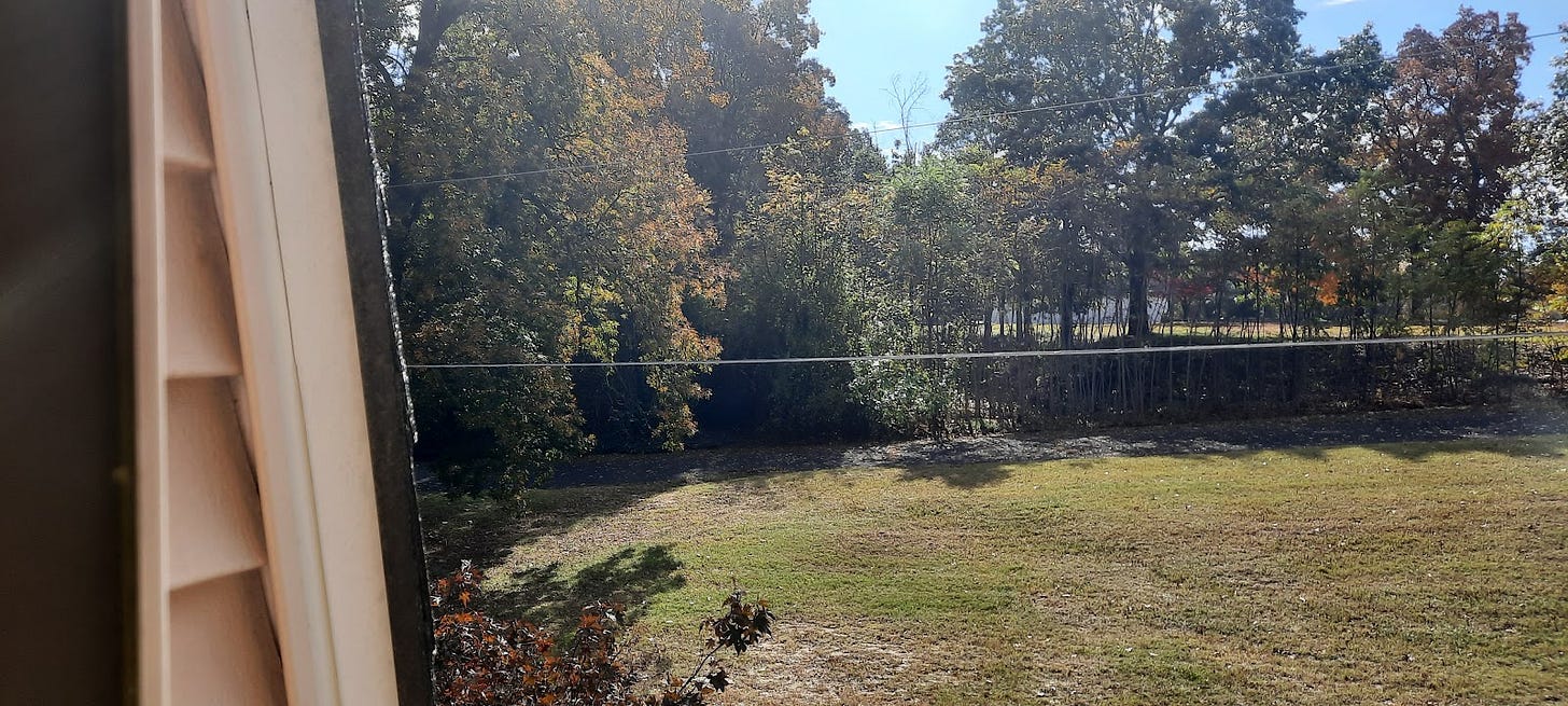 a view of trees, grass, and the cemetery