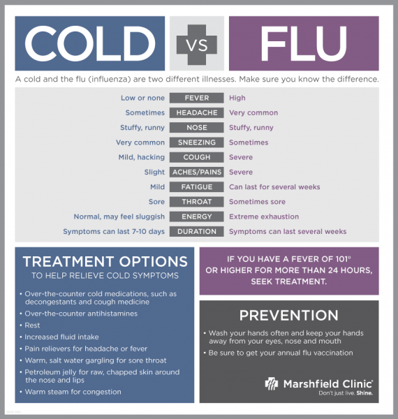 cold vs the flu symptons images