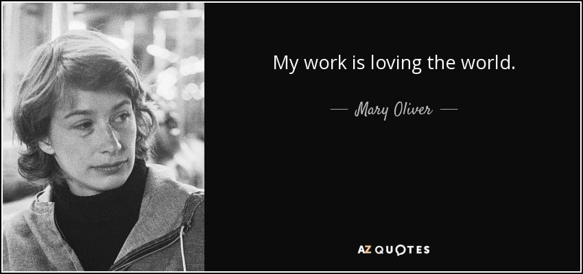 Mary Oliver quote: My work is loving the world.