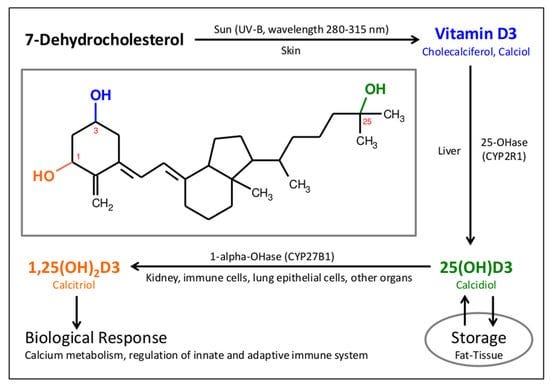 Nutrients 13 03596 g001 550