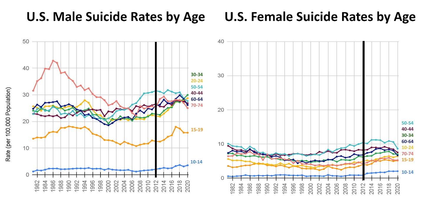 Left graph: US male suicide rates by age group. Graph right: US Female suicide rates by age group