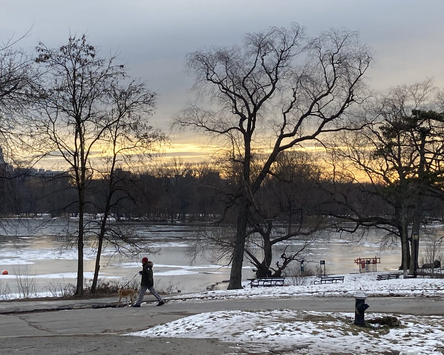 park view with bare trees, a frozen lake, and cloudy sky with golden light along the horizon