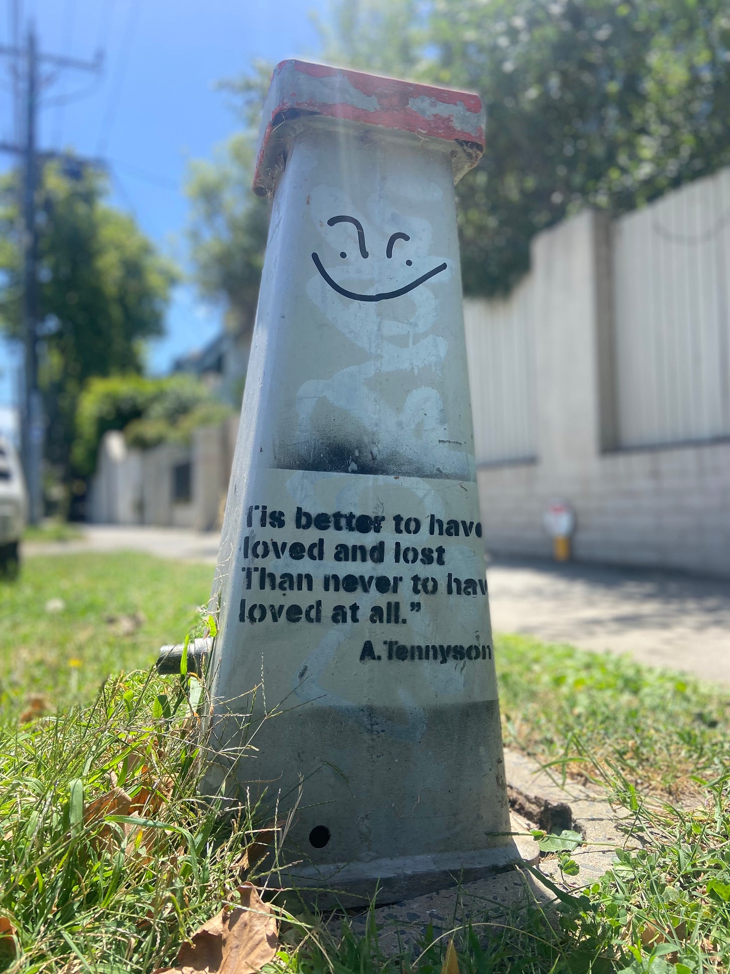A close up image taken from grass height of a fire hydrant. On the side is a stencil with the words "Tis better to have loved and lost Than never to have loved at all." A. Tennyson
