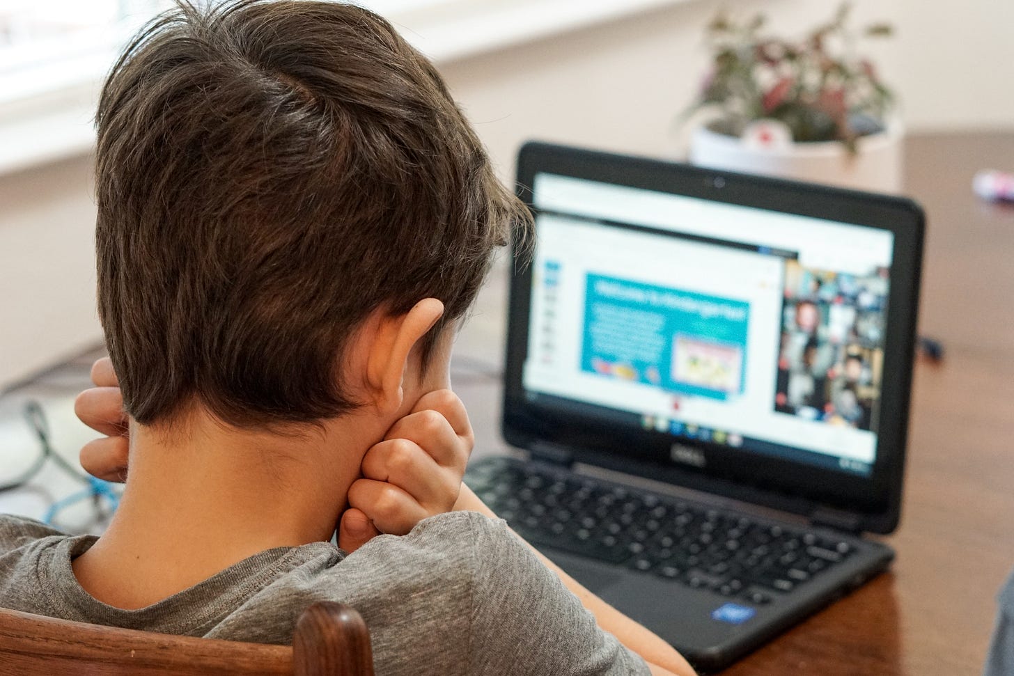 Boy looking at laptop screen Boy looking at laptop screen