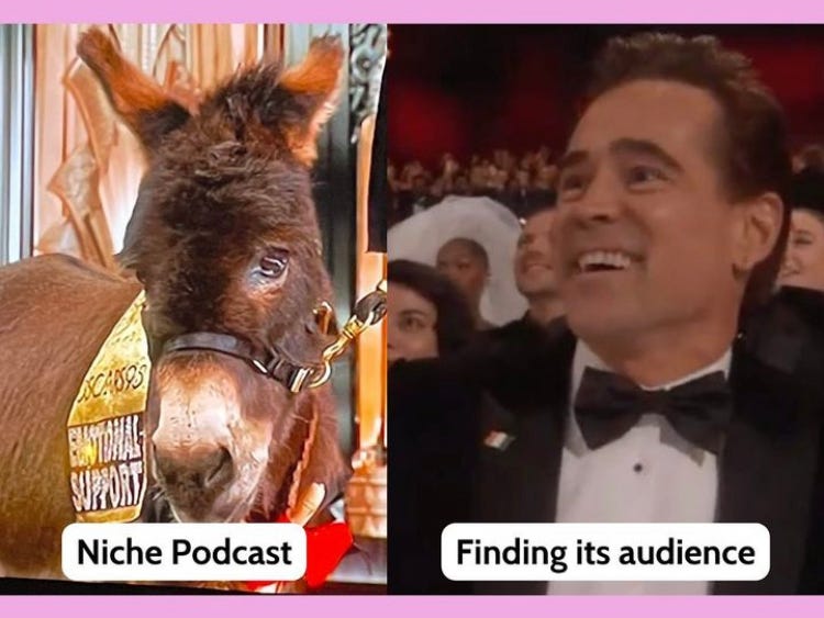 Jenny the Donkey from Banshees of Inisherin labled niche podcast. Colin Farrell smiling at her labeled finding its audience