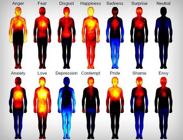 Thermal imaging of emotions | Different emotions, How are you feeling ...