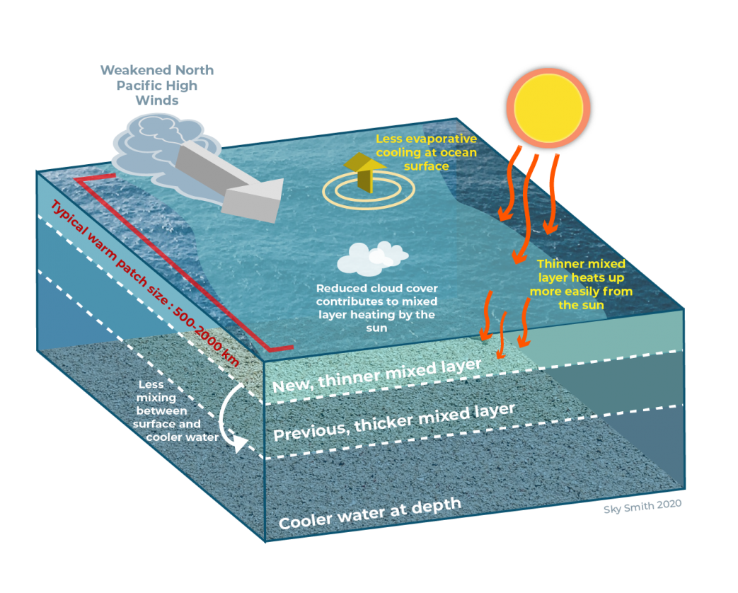 What is a Marine Heatwave? | Center for Climate Change Impacts and  Adaptation