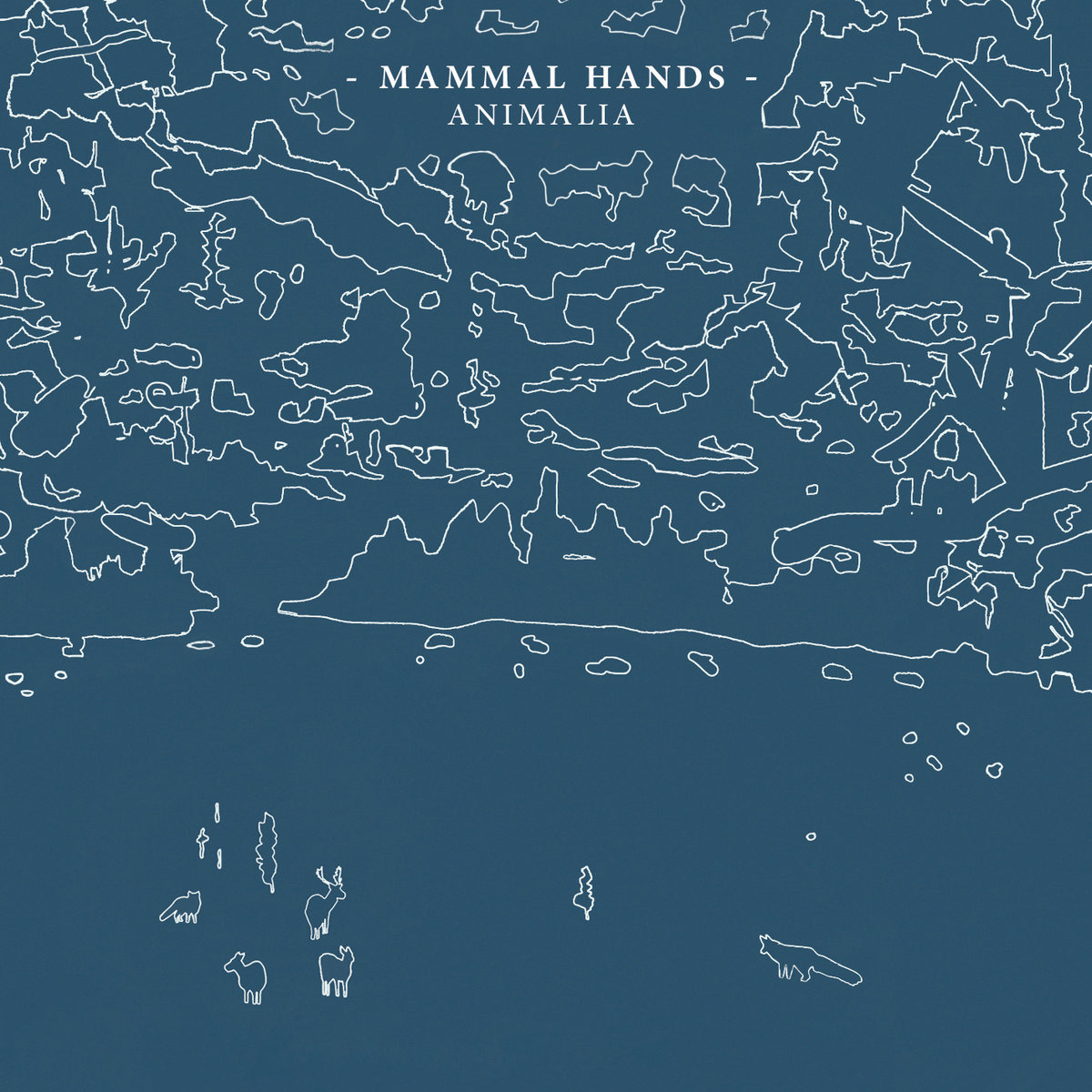 Animalia | Mammal Hands