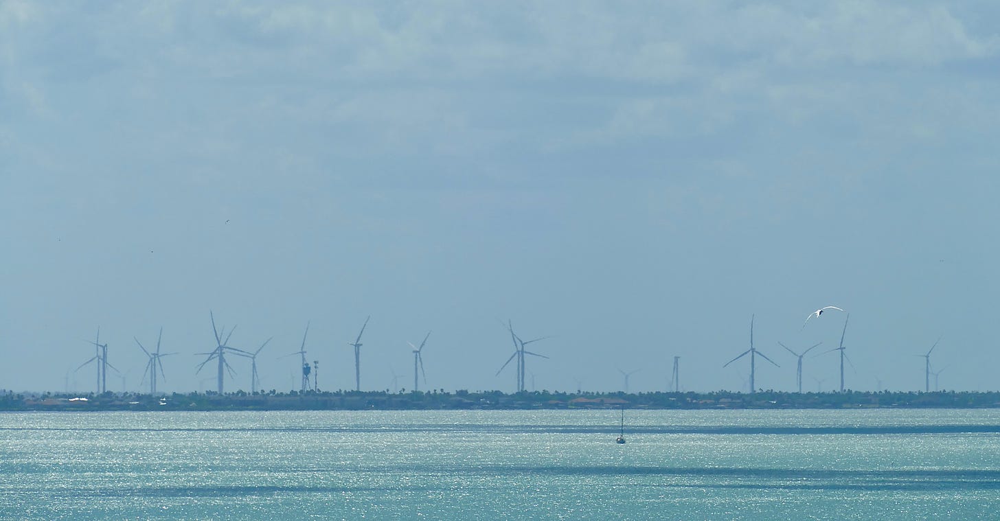 Shoreline with windmills