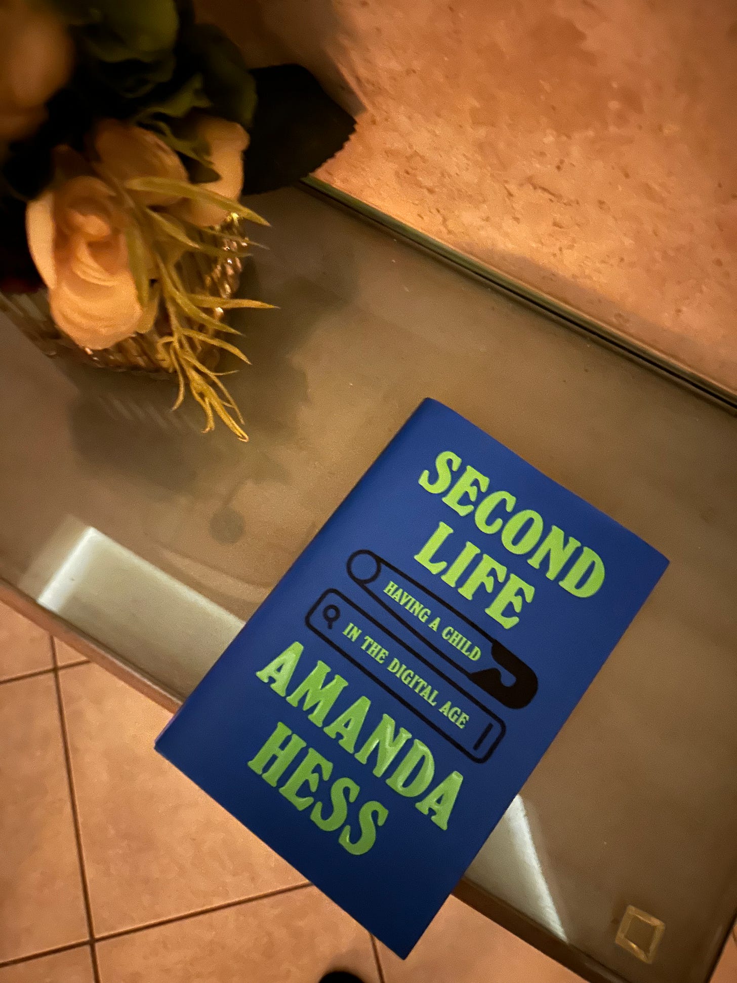 Second Life Amanda Hess