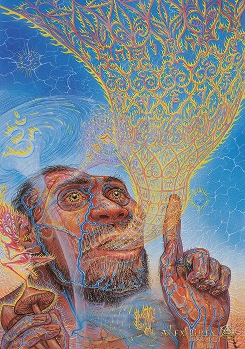 The Origin of Language by Alex Grey : r/SpecArt