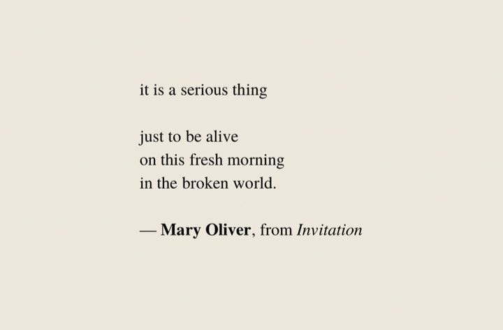 Screenshot of a poem that says 'it is a serious thing just to be alive, on this fresh morning, in this broken world' by Mary Oliver