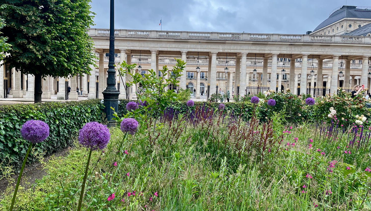 flowers in grass in Palais Royal, Paris
