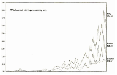 Fortune's Formula - volatility of the Kelly formula wealth building path