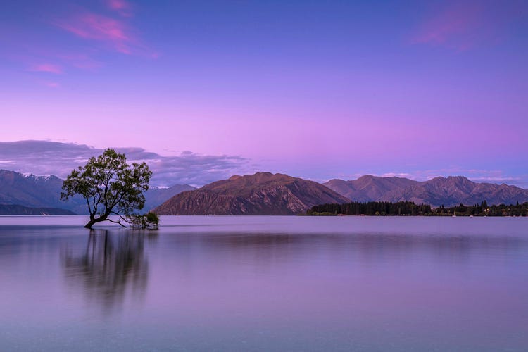 river, tree and island in background.