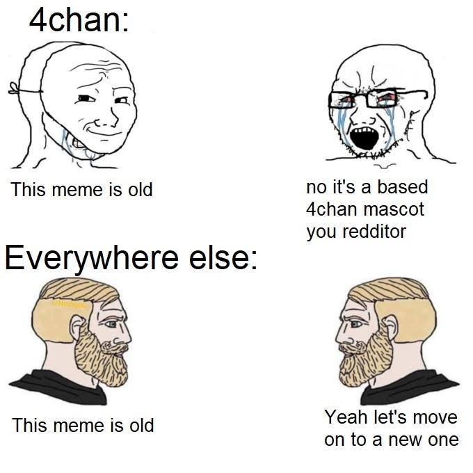 4chan: This meme is old no it's a based 4chan mascot you redditor Everywhere else: Yeah let's move This meme is old on to a new one Elden Ring Face Hair Nose Jaw Head Text Line art Organ Human Forehead Line