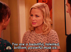 Leslie Knope from Parks and Rec: You are a beautiful, talented, briliant, powerful musk ox.