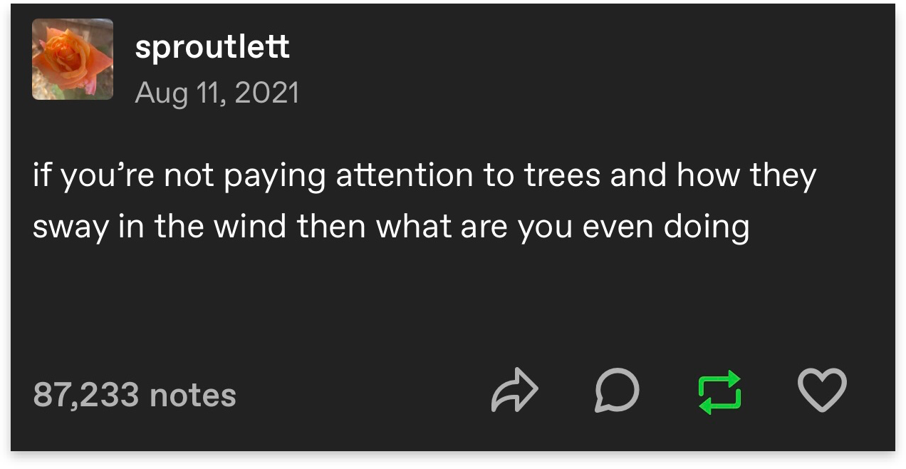 Post by a user called 'sproutlett' saying "if you're not paying attention to trees as they sway in the wind then what are you even doing"