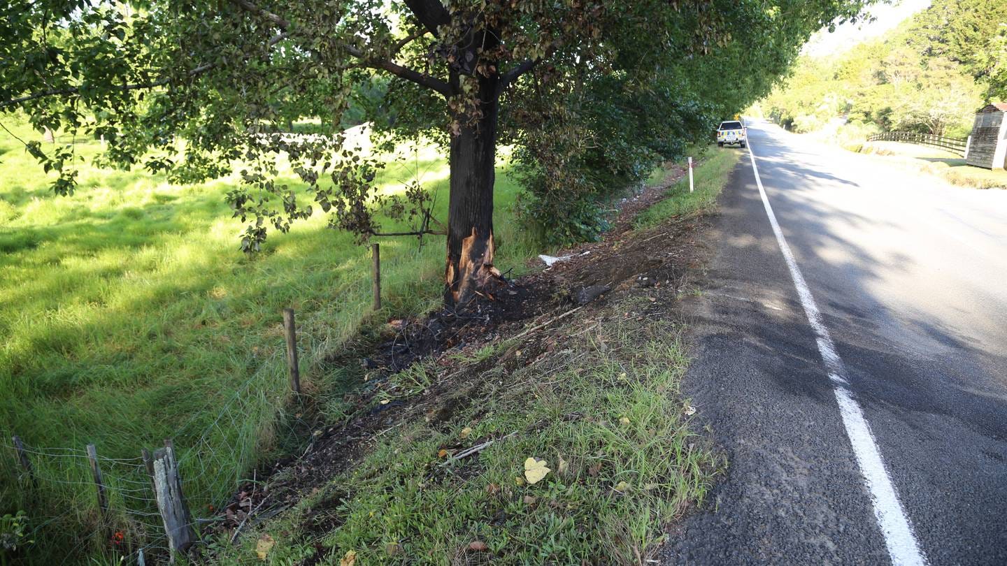 A mum and son have died after their car caught fire when they crashed into a tree in Otaika, Whangārei, overnight.