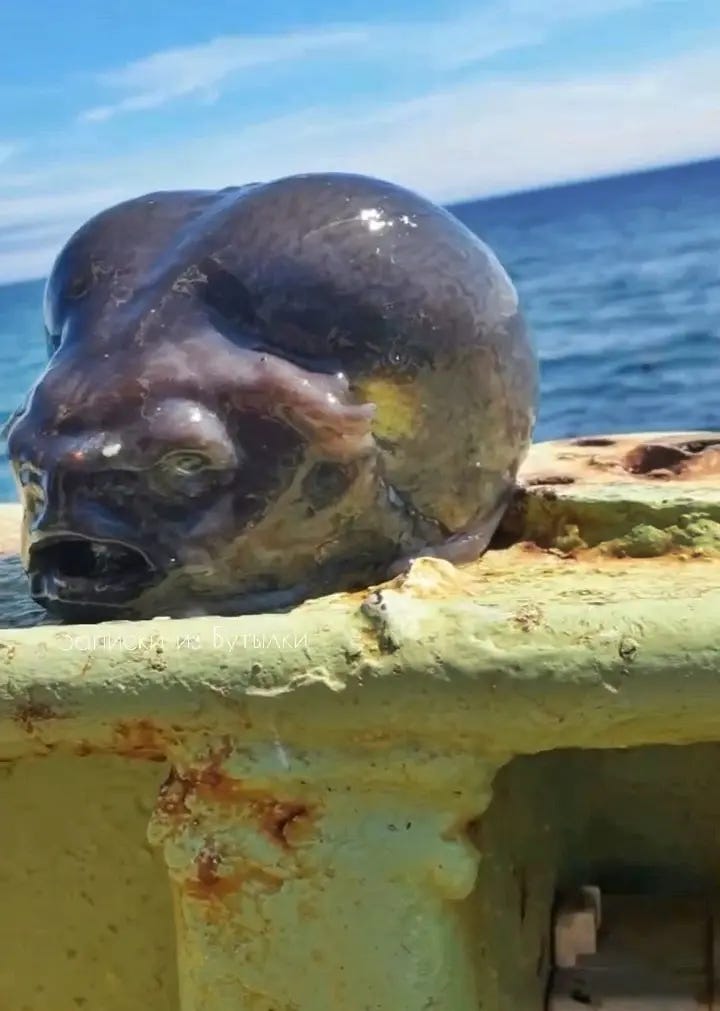 A black slimy glob with eyes and teeth that's kind of skull-shaped, except the skull has two sections like a pair of nuts