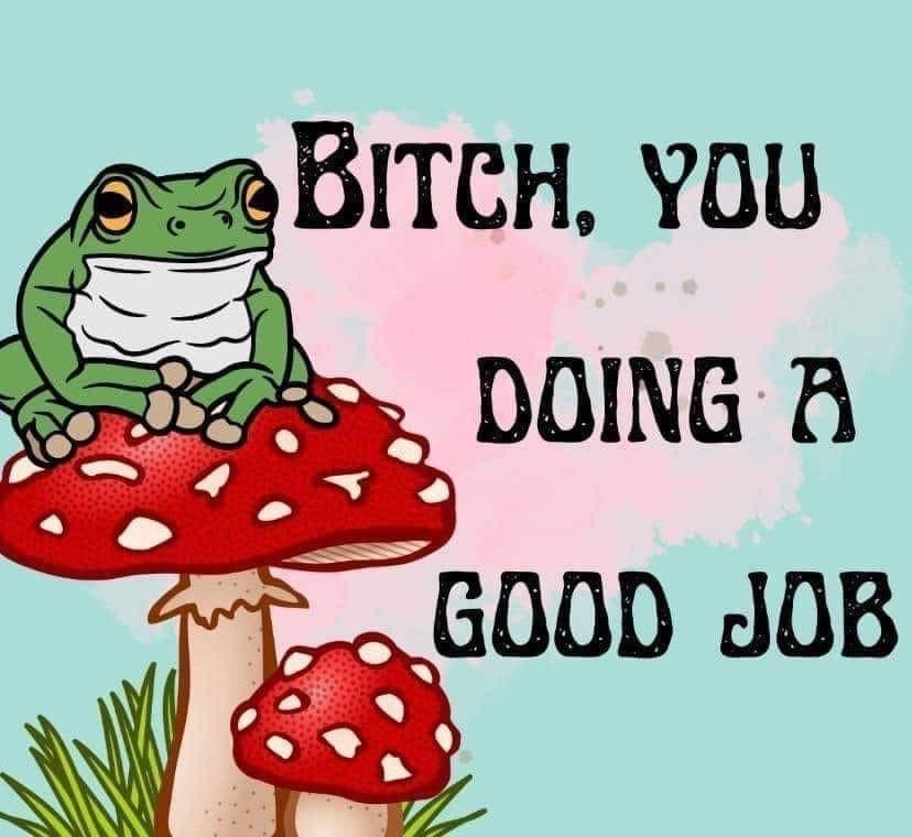 A frog on a mushroom with the caption "Bitch you doing a good job"