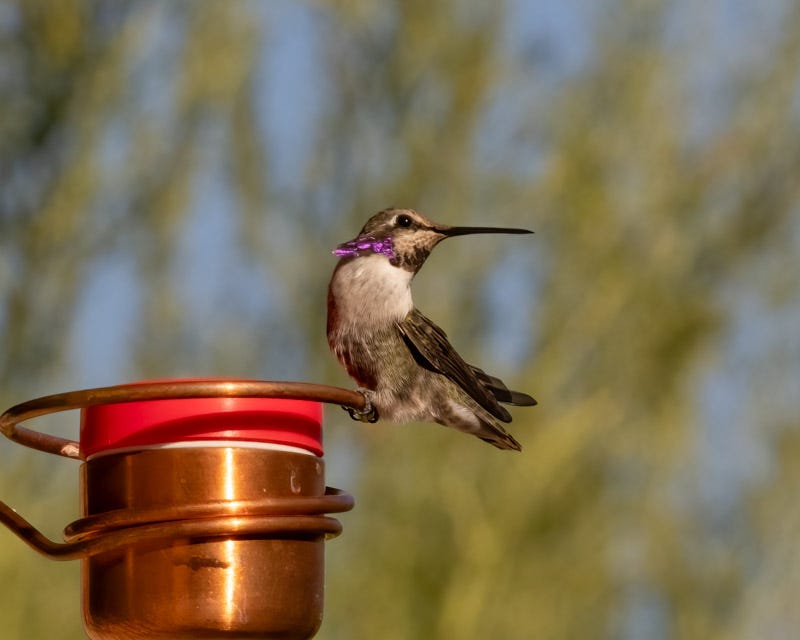 20240911-MBY-85-Edit.jpg