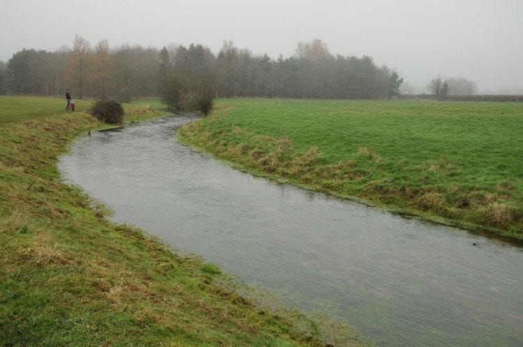 The river Thames - a rural part with a wide stretch of water with grass on either side and trees in the distance.