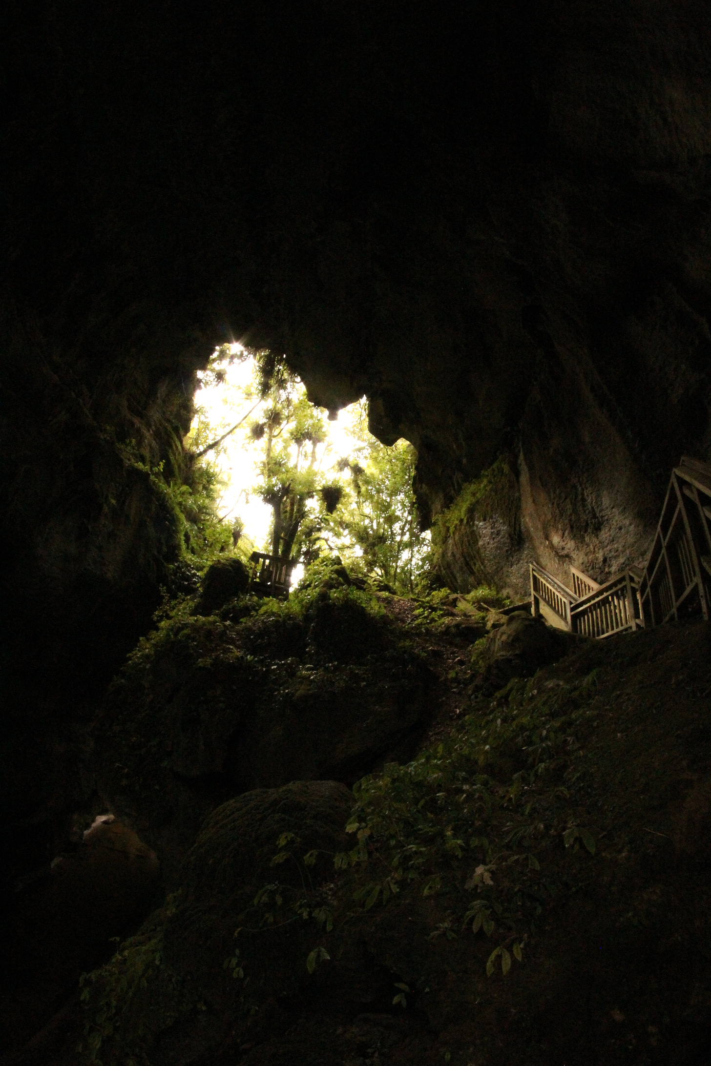 A dark cave with awooden staircase leading towards the light