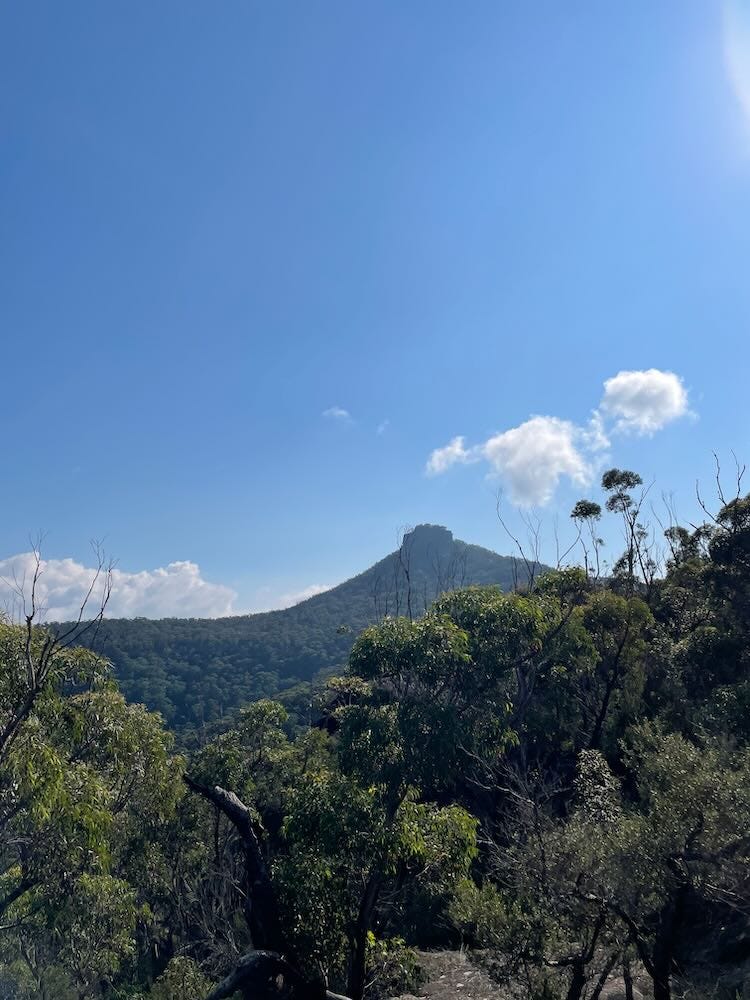 Pigeon House Mountain,  Didthol, Morton National Park