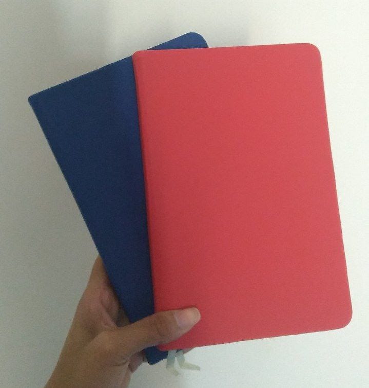 Foto da minha mão segurando dois cadernos 14x21 cm, um vermelho e outro azul, na frente de uma parede branca