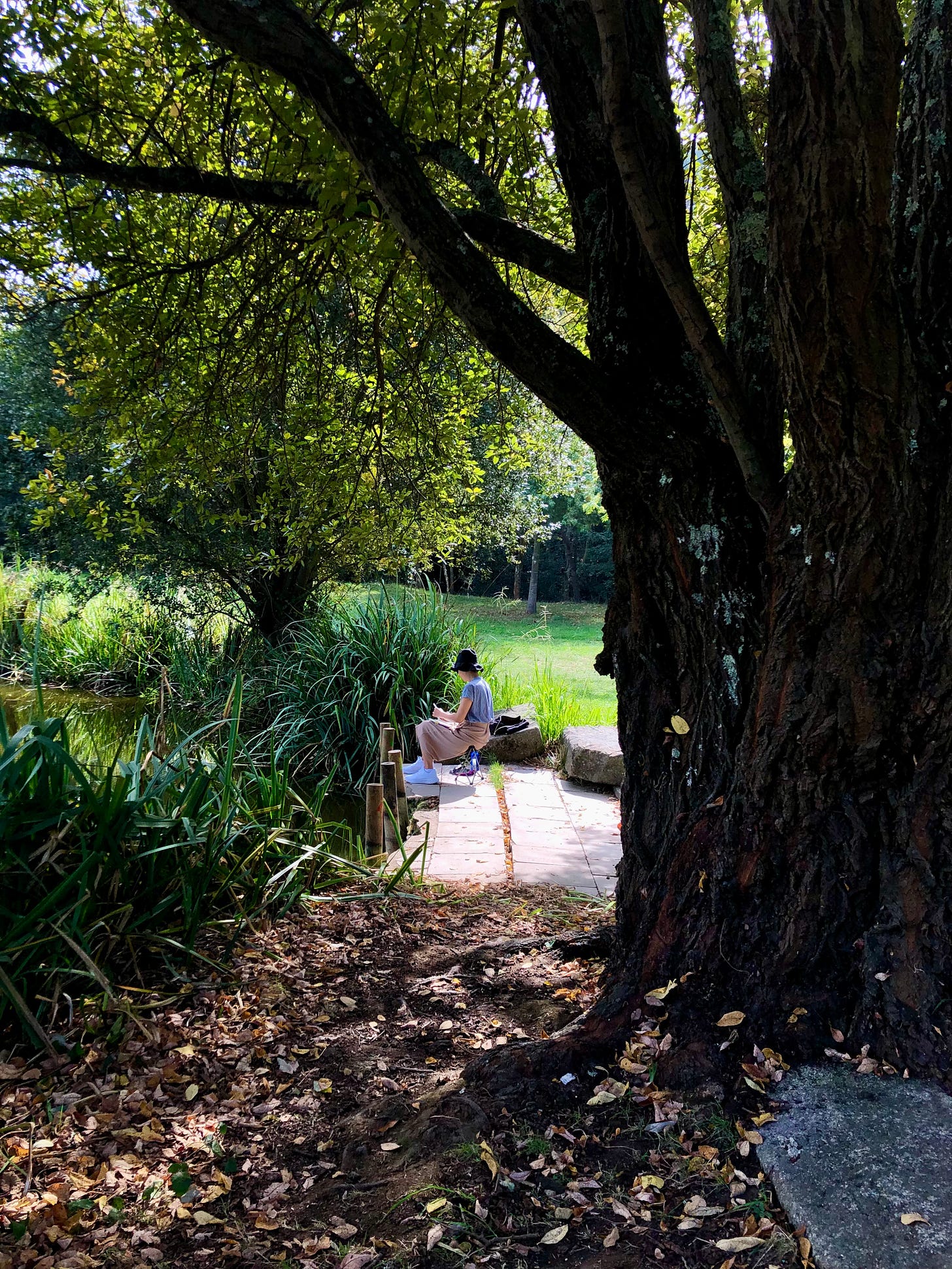 image: long-range photo shot of me painting live outdoors near the lake in the park